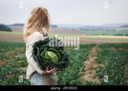 Coltivatore che tiene cavolo di cavolo di cavolo di cavolo grande a campo agricolo. Raccolto autunnale. Donna che lavora in azienda agricola biologica Foto Stock