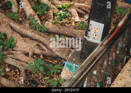 Prese di corrente pubbliche nel centro della città di Merida, Messico Foto Stock