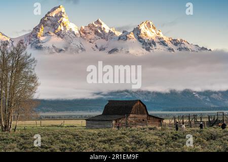 Il granaio John Molton nel quartiere storico di Mormon Row lungo Antelope Flats con le montagne Grand Teton dietro al Grand Teton National Park, Wyoming. Foto Stock