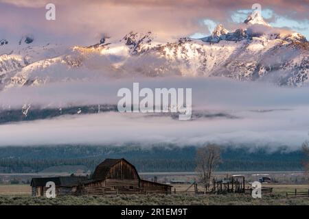 Il granaio John Molton nel quartiere storico di Mormon Row lungo Antelope Flats con le montagne Grand Teton dietro al Grand Teton National Park, Wyoming. Foto Stock