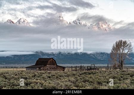 Il granaio John Molton nel quartiere storico di Mormon Row lungo Antelope Flats con le montagne Grand Teton dietro al Grand Teton National Park, Wyoming. Foto Stock