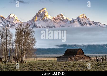 Il granaio John Molton nel quartiere storico di Mormon Row lungo Antelope Flats con le montagne Grand Teton dietro al Grand Teton National Park, Wyoming. Foto Stock