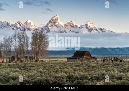 Il granaio John Molton nel quartiere storico di Mormon Row lungo Antelope Flats con le montagne Grand Teton dietro al Grand Teton National Park, Wyoming. Foto Stock