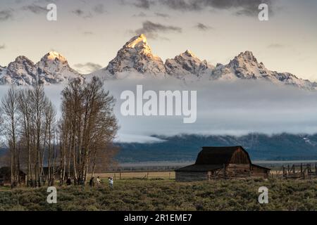 Il granaio John Molton nel quartiere storico di Mormon Row lungo Antelope Flats con le montagne Grand Teton dietro al Grand Teton National Park, Wyoming. Foto Stock