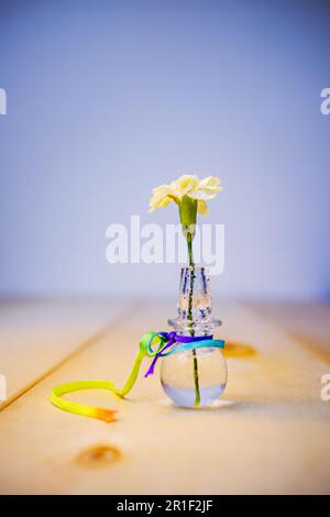 Un piccolo garofano bianco all'interno di un piccolo contenitore di vetro trasparente e tutto su un tavolo di legno chiaro Foto Stock