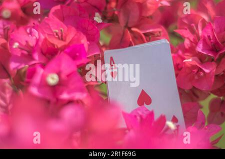 Asso di club, oro, tazze, bastoni e cuori, con fiori sullo sfondo, concetto astratto. Foto Stock