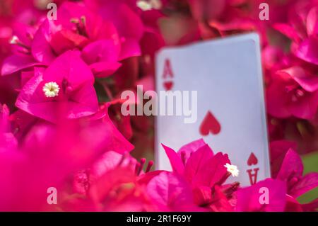 Asso di club, oro, tazze, bastoni e cuori, con fiori sullo sfondo, concetto astratto. Foto Stock