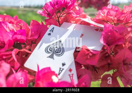 Asso di club, oro, tazze, bastoni e cuori, con fiori sullo sfondo, concetto astratto. Foto Stock