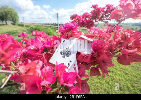 Asso di club, oro, tazze, bastoni e cuori, con fiori sullo sfondo, concetto astratto. Foto Stock