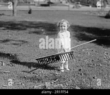 Foto di archivio: Un ragazzino che tiene un rastrello ca. 1918-1920 Foto Stock