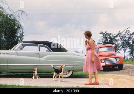 Donna che guarda due cuccioli nel suo vialetto, accanto ad una macchina verde pastello e un pick up rosso parcheggiato nella strada ca. 1950s Foto Stock