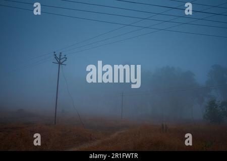 Nebbia mattutina a Mahabaleshwar, Maharashtra. Ad un'altitudine di 1000 metri sul livello del mare, Mahabaleshwar si foggia negli inverni molto facilmente. Foto Stock