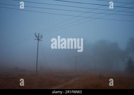 Nebbia mattutina a Mahabaleshwar, Maharashtra. Ad un'altitudine di 1000 metri sul livello del mare, Mahabaleshwar si foggia negli inverni molto facilmente. Foto Stock