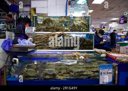 Mercato dei frutti di mare in Corea del Sud Foto Stock