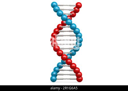 Modello di DNA con elementi blu e rossi, rendering 3D Foto Stock