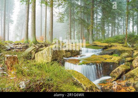 Piccola cascata, Kalte Bode, Harz, bassa Sassonia, Germania Foto Stock