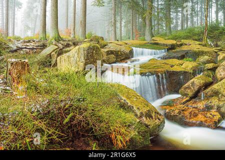 Piccola cascata, Kalte Bode, Harz, bassa Sassonia, Germania, Europa Foto Stock