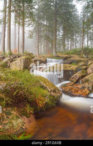 Piccola cascata, Kalte Bode, Harz, bassa Sassonia, Germania Foto Stock