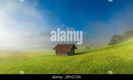 Alba a Wagenbruechsee, nebbia, Geroldsee, Gerold, Klais, Kruen, Garmisch-Partenkirchen, Baviera, Germania Foto Stock