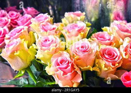 Le Rose in negozio di fiori. Fiori recisi alla bancarella di strada Foto Stock