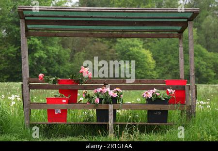 Tutting, Germania. 14th maggio, 2023. Solo una piccola selezione di fiori è ancora in vendita in un stand self-service su una strada. Credit: Karl-Josef Hildenbrand/dpa/Alamy Live News Foto Stock