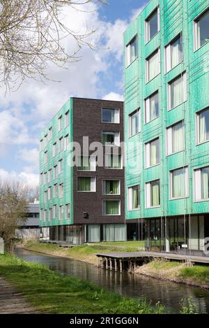 Delft, Paesi Bassi - DUWO Student Housing di Mecannoo, tu Delft campus Foto Stock