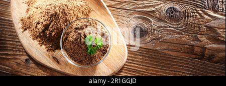 Composizione con una ciotola di coriandolo macinato Foto Stock