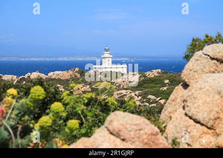 Nuovo Faro di Capo testa (Faro di Capo testa) in Sardegna Foto Stock