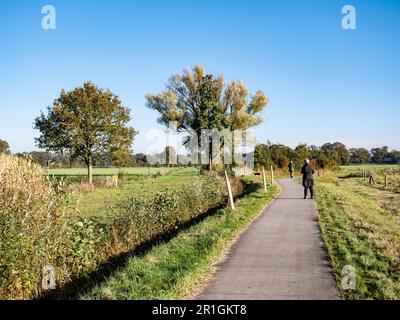 Coppia senior a piedi sul sentiero nella riserva naturale Dakhorst, Wierden, Overijssel Foto Stock