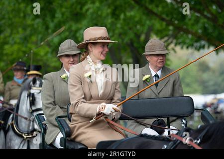 Windsor, Berkshire, Regno Unito. 14th maggio, 2023. Lady Louise Windsor al Royal Windsor Horse Show oggi in carrozza. Il defunto Duca di Edimburgo è stato spesso visto guidare in carrozza intorno al Windsor Great Park e sua nipote Lady Louise, sta seguendo le sue orme al Royal Windsor Horse Show che guida la carrozza del Duca. Credit: Maureen McLean/Alamy Live News Foto Stock