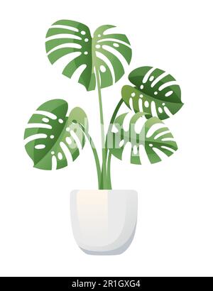 Pianta di Monstera in ceramica bianca pentola vettoriale illustrazione isolata su sfondo bianco Illustrazione Vettoriale