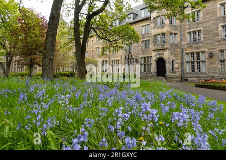 Esterno della St Salvator’s Hall of Residence St Andrews University, St Andrews, Fife, Scozia, Regno Unito Foto Stock