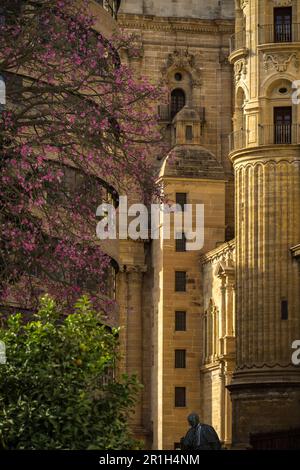 Vista dettagliata della cattedrale di Málaga con alberi colorati in primo piano Foto Stock