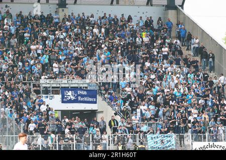 ESSEN, GERMANIA. 14 maggio 2023. Rot-Weiss Essen v 1860 Muenchen. Calcio, 3. Liga, giorno 36, Stagione 2022/2023. 1860 Fans (1860 Muenchen) Credit: NewsNRW / Alamy Live News le normative DFB vietano qualsiasi uso di fotografie come sequenze di immagini e/o quasi-video Credit: NewsNRW/Alamy Live News Foto Stock