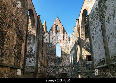 Rosa coeli, rovine della chiesa e del monastero, Dolni Kounice vicino alla città di Ivancice, Moravia meridionale, Repubblica Ceca Foto Stock