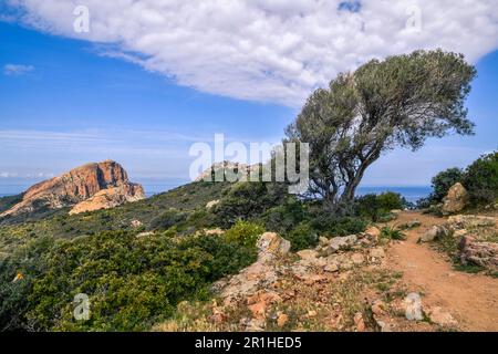 Escursione panoramica alle scogliere di Capo Rosso, Corsica Foto Stock
