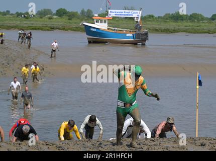 Maldon Essex, Regno Unito. 14th maggio, 2023. La gara di fango di Maldon ritorna al Promenade Park nell'Essex per festeggiare i 50 anni trascorsi dalla prima origine della gara, quando nel 1973, un uomo locale è stato sfidato a indossare un tuxedo per servire un pasto sulla riva del fiume. Ciò ha condotto più successivamente ad una corsa attraverso il fiume in cui la gente del posto ha dovuto bere una pinta da un barile d'attesa della birra prima della corsa indietro ancora la corsa è condotta su un corso di 450 metri attraverso il fiume Blackwater e può avvenire soltanto alla bassa marea. Credit: MARTIN DALTON/Alamy Live News Foto Stock