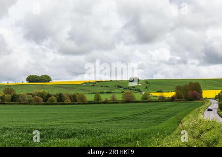 Hackpen Hill gesso bianco cavallo punto di riferimento vicino Broad Hinton, Wiltshire, Inghilterra, Regno Unito Foto Stock