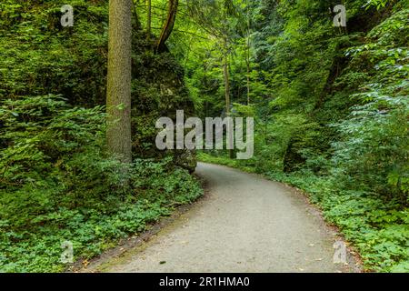 Strada nella valle di Pusty zleb, Repubblica Ceca Foto Stock