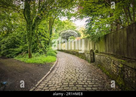 Tradiitionmal strada acciottolata presso lo Jumbles Country Park Foto Stock