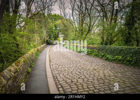 Tradiitionmal strada acciottolata presso lo Jumbles Country Park Foto Stock