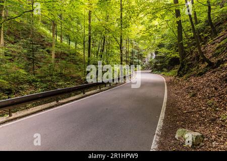 Strada nella valle di Pusty zleb nella regione del Carso Moravo, Repubblica Ceca Foto Stock