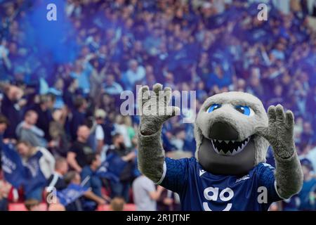 Eccles, Regno Unito. 14th maggio, 2023. Sharky Waves ai fan dopo il fischio finale durante la Gallagher Premiership Play-off Semifinale sale Sharks vs Leicester Tigers all'AJ Bell Stadium, Eccles, Regno Unito, 14th maggio 2023 (Foto di Steve Flynn/News Images) a Eccles, Regno Unito il 5/14/2023. (Foto di Steve Flynn/News Images/Sipa USA) Credit: Sipa USA/Alamy Live News Foto Stock