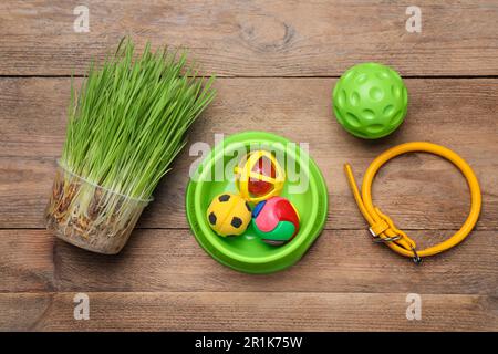 Giocattoli in PET, erba del grano e accessori su tavolo in legno, piatto Foto Stock