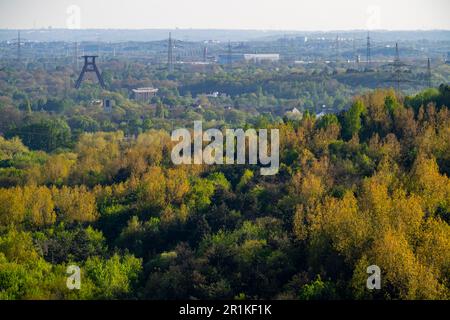 Vista dallo schiaffo Hoheward a sud verso Wanne-Eickel, aree boscose, torre tortuosa dell'ex colleria Pluto 2/3/7, NRW, Germania, Foto Stock