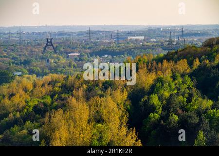 Vista dallo schiaffo Hoheward a sud verso Wanne-Eickel, aree boscose, torre tortuosa dell'ex colleria Pluto 2/3/7, NRW, Germania, Foto Stock