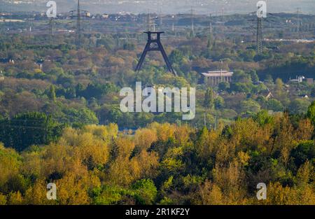 Vista dallo schiaffo Hoheward a sud verso Wanne-Eickel, aree boscose, torre tortuosa dell'ex colleria Pluto 2/3/7, NRW, Germania, Foto Stock