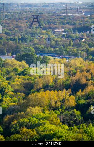 Vista dallo schiaffo Hoheward a sud verso Wanne-Eickel, aree boscose, torre tortuosa dell'ex colleria Pluto 2/3/7, NRW, Germania, Foto Stock