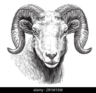 Disegno della faccia RAM disegnato a mano in un'illustrazione di stile doodle Illustrazione Vettoriale