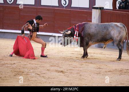 Madrid, Spagna. 15th maggio, 2023. Il batterista Gomez del Pilar ha visto durante la terza corrida della fiera di San Isidro nell'arena di Las Ventas a Madrid. La fiera annuale di San Isidro celebra il santo patrono di Madrid. Il festival ospita parate e una varietà di eventi. Segna anche l'inizio della stagione della corrida a Madrid. Credit: SOPA Images Limited/Alamy Live News Foto Stock